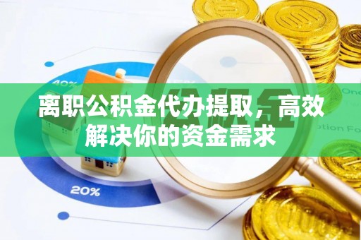 南港离职公积金代办提取，高效解决你的资金需求