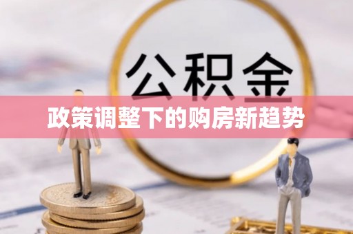 南港政策调整下的购房新趋势