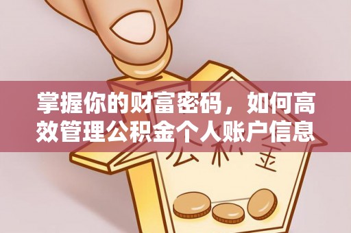 南港掌握你的财富密码，如何高效管理公积金个人账户信息
