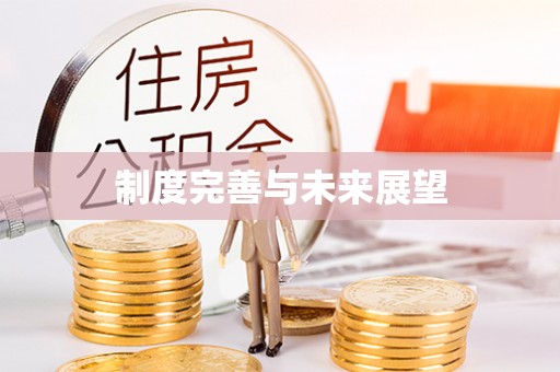 南港制度完善与未来展望