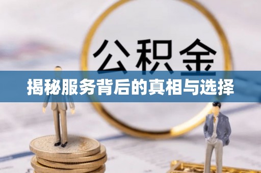 南港揭秘服务背后的真相与选择