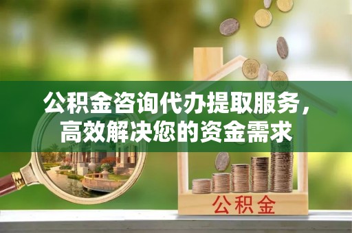 南港公积金咨询代办提取服务，高效解决您的资金需求