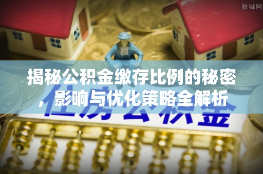 南港揭秘公积金缴存比例的秘密，影响与优化策略全解析