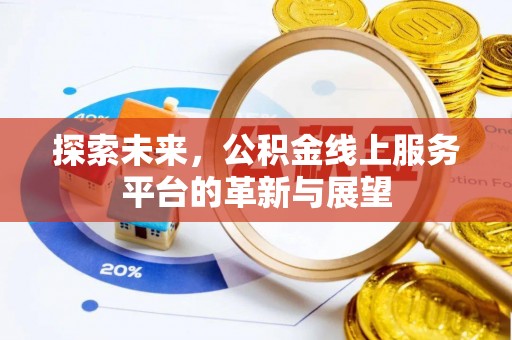 南港探索未来，公积金线上服务平台的革新与展望