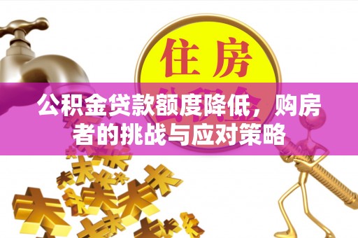 南港公积金贷款额度降低，购房者的挑战与应对策略