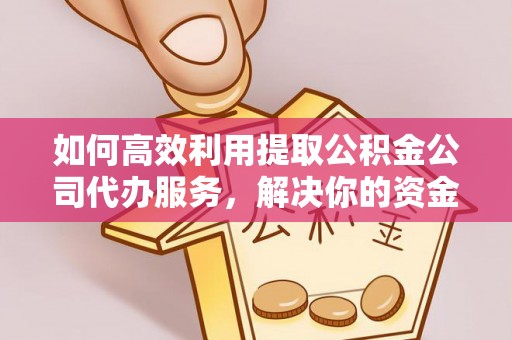 南港如何高效利用提取公积金公司代办服务，解决你的资金难题