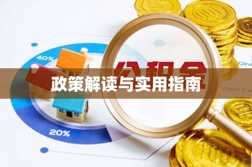 南港政策解读与实用指南