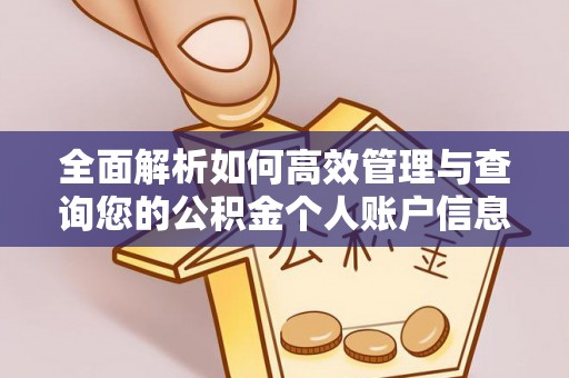 南港全面解析如何高效管理与查询您的公积金个人账户信息