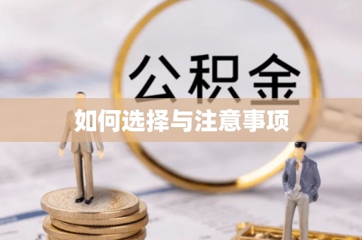南港如何选择与注意事项