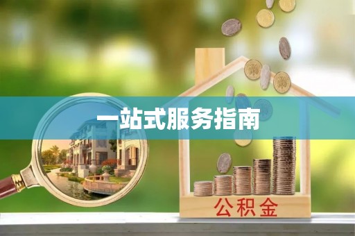 南港一站式服务指南