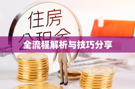南港全流程解析与技巧分享